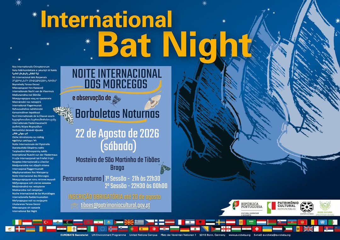 Noite Internacional dos Morcegos