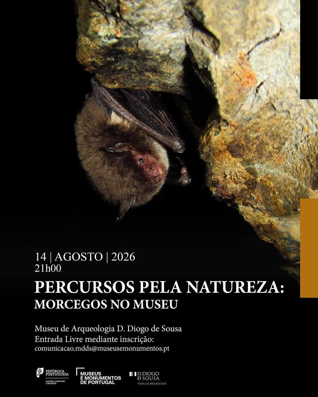 Percursos pela Natureza: Morcegos no Museu