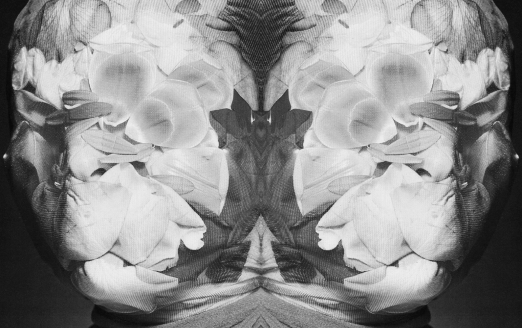 contrapeso: lea siebrecht